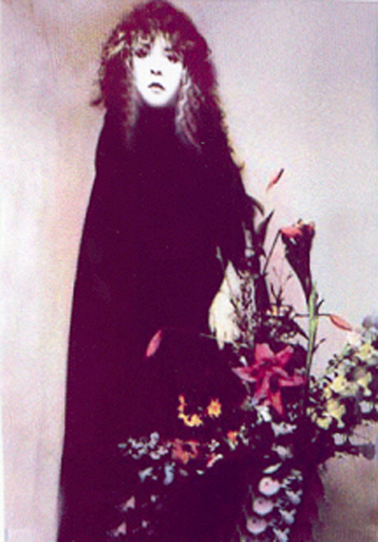 stevie nicks photo download