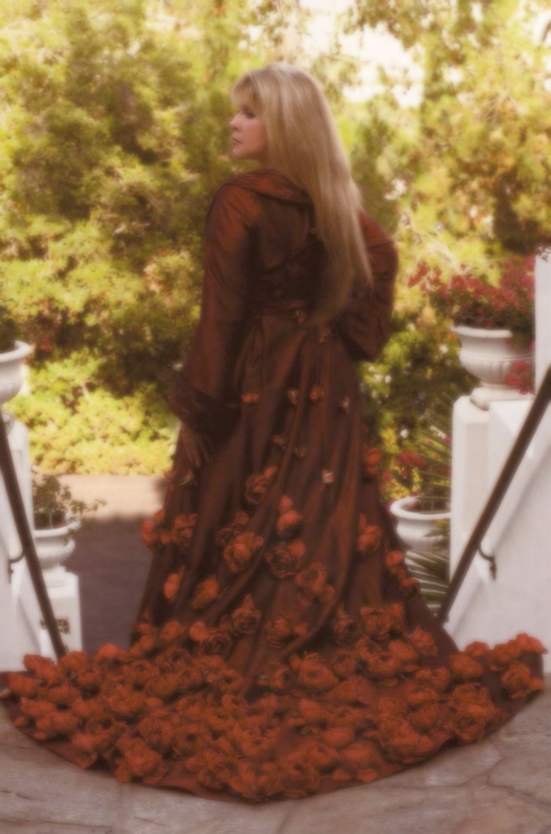 stevie nicks photo download